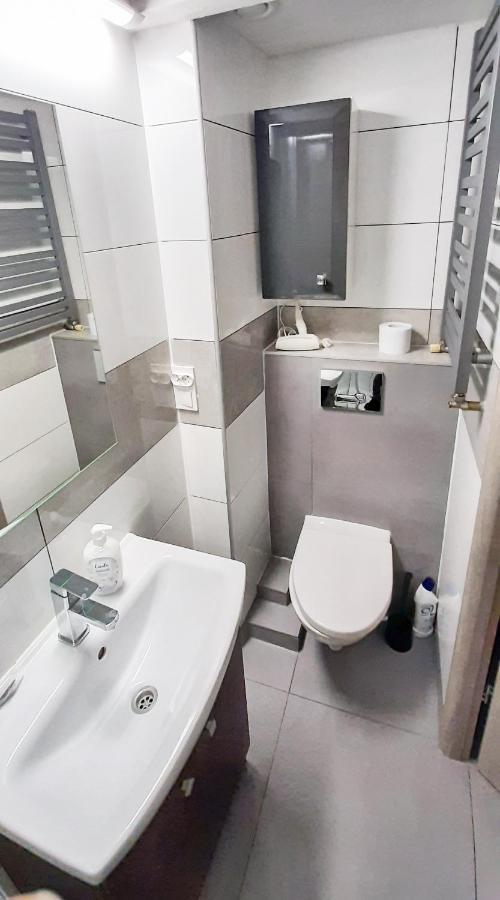 Lion - Laba Apartament