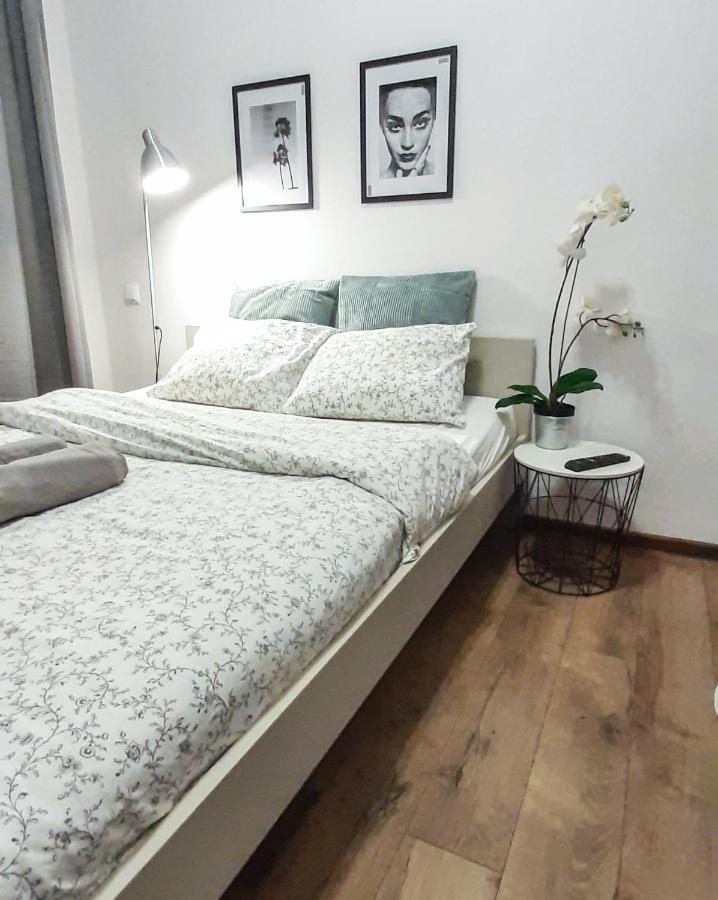 Apartament Lion - Laba Kraków